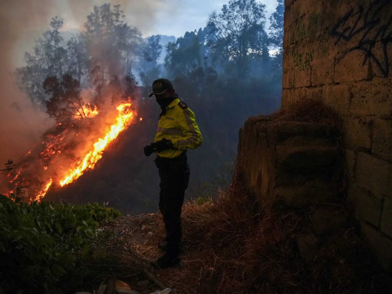 干ばつ続くエクアドル政府が非常事態宣言南部2州で山火事も KWP News九州と世界のニュース