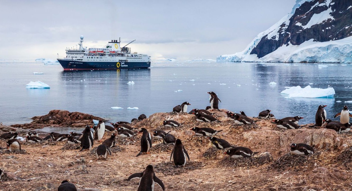 南極コロナ大陸の楽しみ方