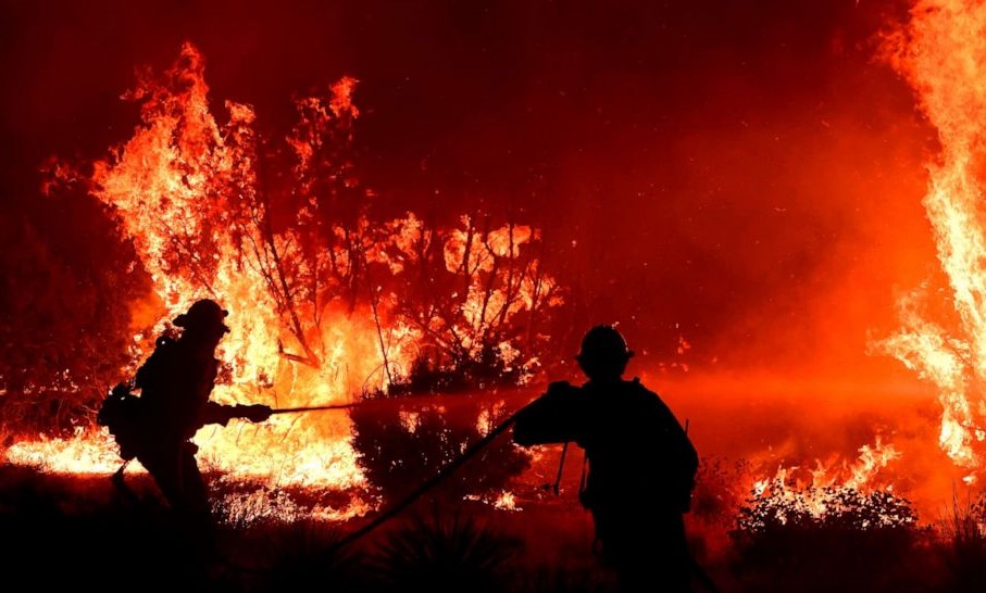 地球温暖化はアメリカ西部の山火事にどのような影響を与えたのか