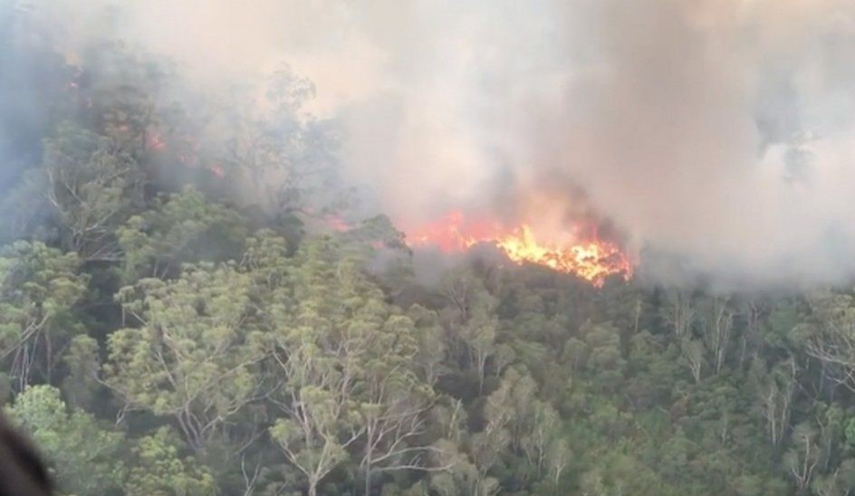 火事 オーストラリア 山 オーストラリアの山火事、原因や傾向など 解説