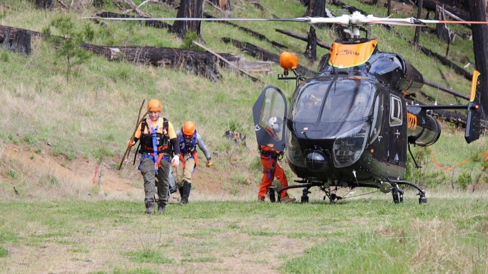 アメリカの荒野で迷子になった69歳男性が17日ぶりに保護された 救助されたハリー バーリー氏はヘリで地域の病院に搬送