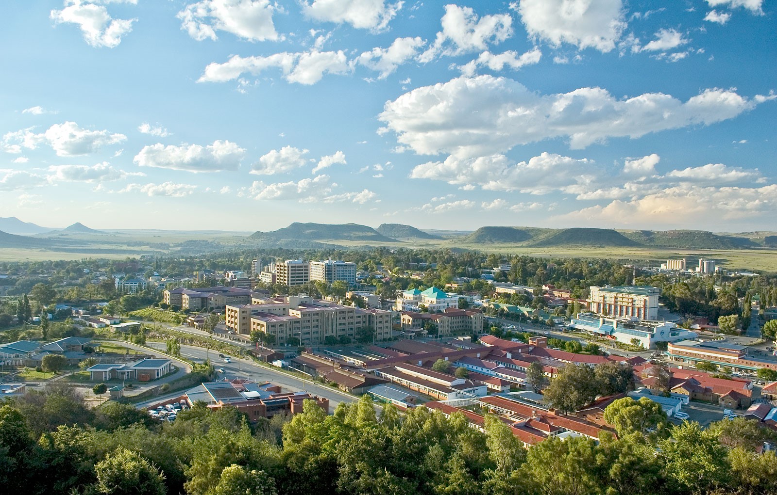  ALP検査とは何ですか?