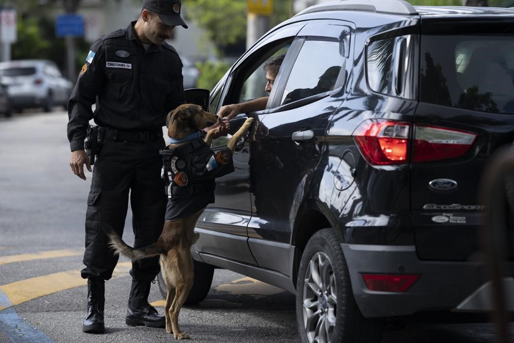 ブラジル リオデジャネイロの治安を守る警察犬と消防犬 インスタグラムのインフルエンサーとしても活動中