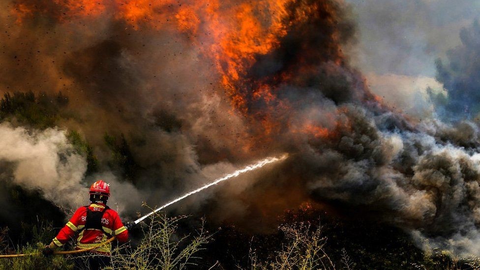 欧州で記録的熱波 地中海沿岸の山火事拡大 ポルトガル スペイン フランスの状況深刻