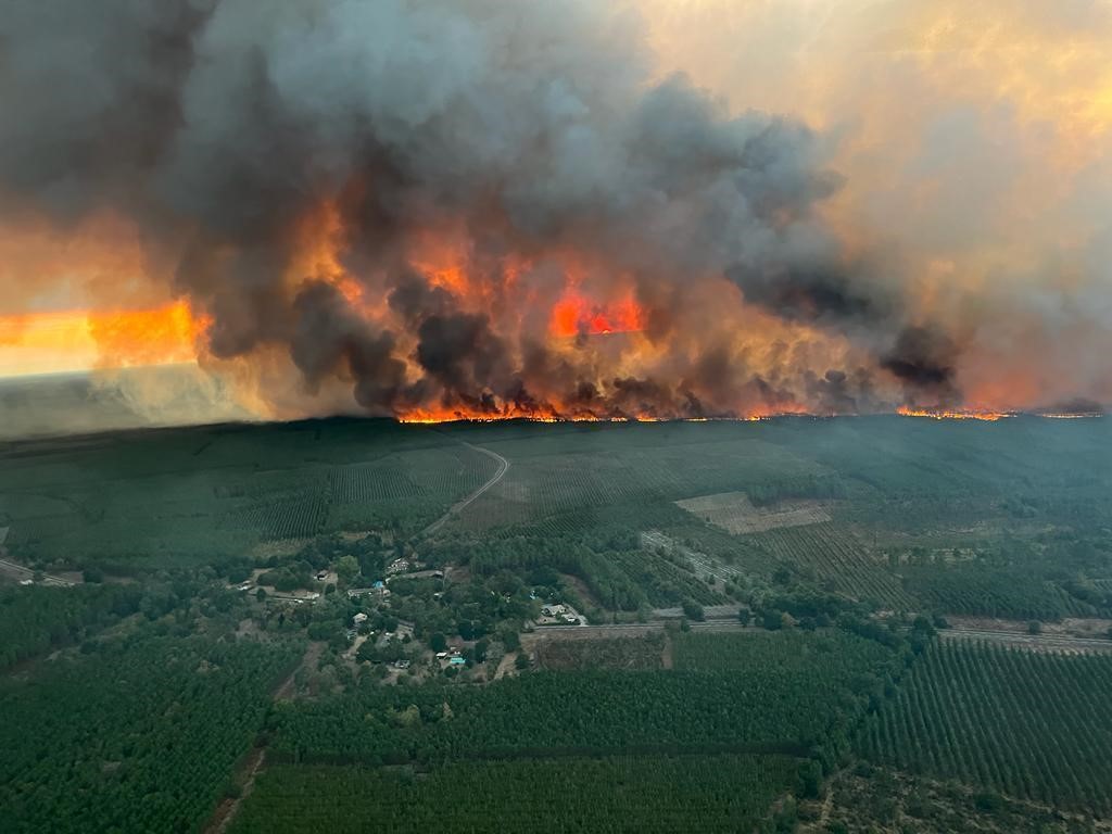仏ボルドーの山火事延焼続く 住民8000人避難 道路封鎖も 過去に類を見ない歴史的な干ばつ