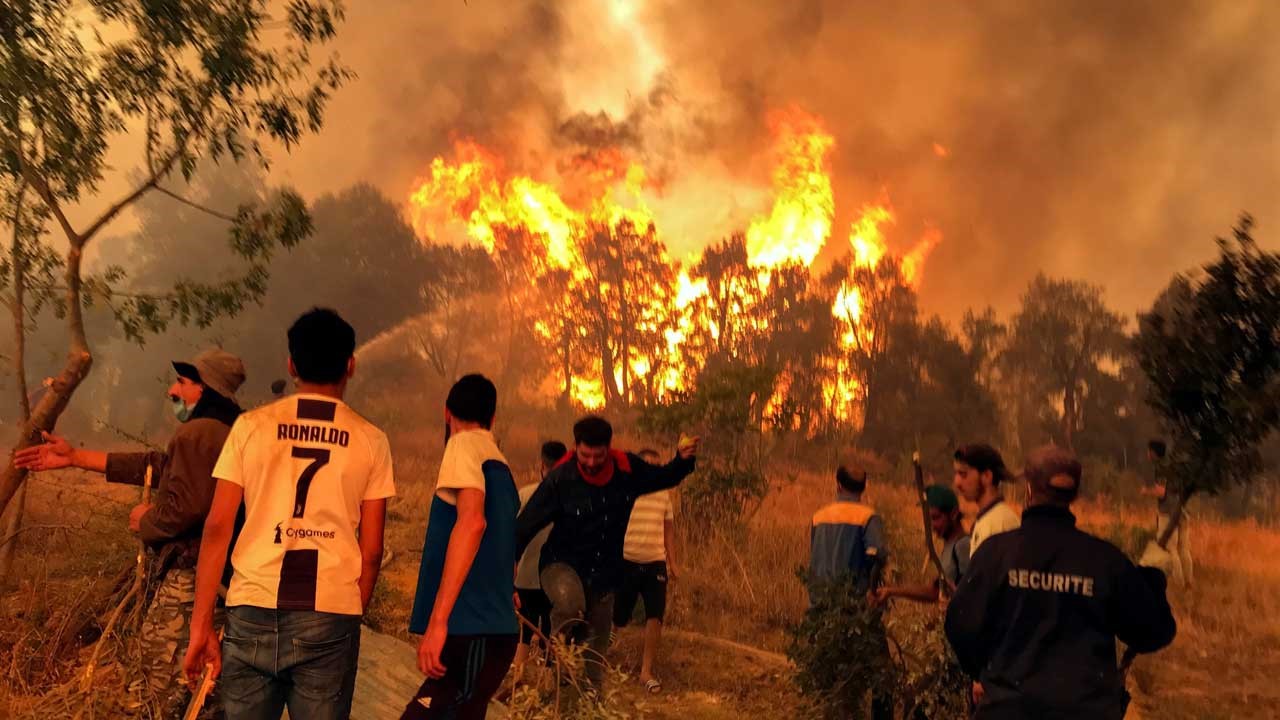アルジェリア北部で山火事 少なくとも26人死亡 多くの集落で住宅火災発生 350人避難