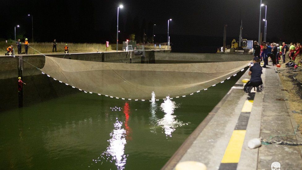 仏セーヌ川の迷子シロイルカ救出へ 消防の捕獲作戦スタート 専用トラックでノルマンディー地方に移送