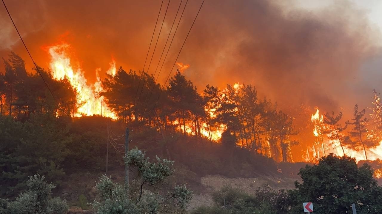 トルコ南部の山火事鎮圧 1000人超避難 メルシン県 少なくとも8人が入院 うち1人は重体