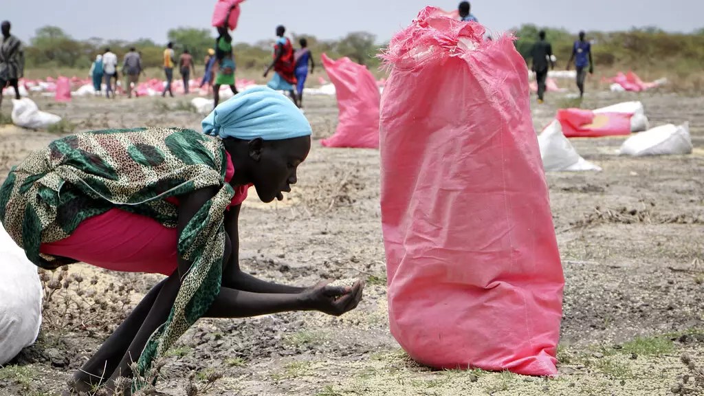 南スーダンで800万人が飢餓の危機に 国連が警鐘鳴らす 洪水 干ばつ 紛争の影響を受けた地域で飢餓と栄養失調が蔓延