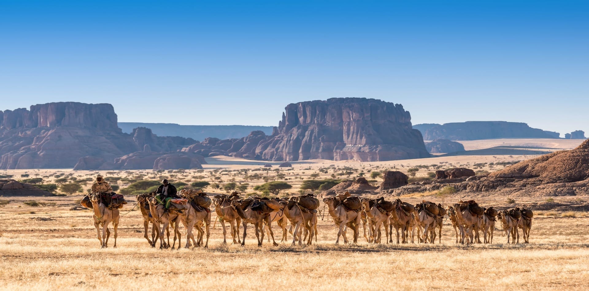 アフリカの内陸国チャド、イスラエルに大使館開設へ - KWP News/九州と世界のニュース